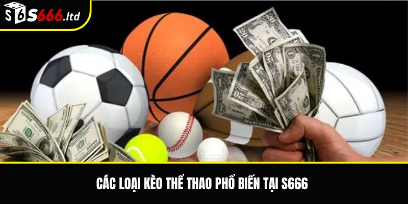 Các loại kèo thể thao phổ biến tại S666