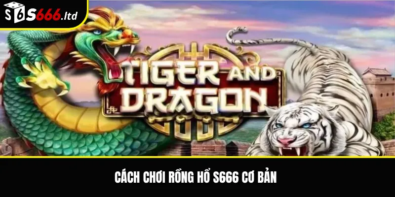 Cách chơi Rồng Hổ S666 cơ bản