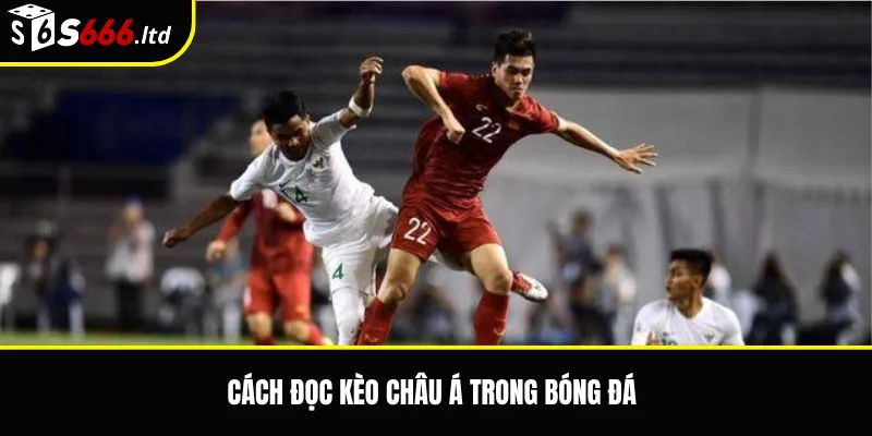Cách đọc kèo châu Á trong bóng đá