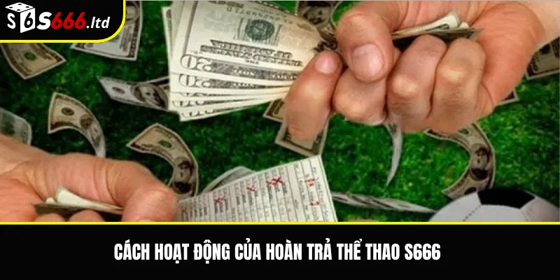 Cách hoạt động của hoàn trả thể thao S666