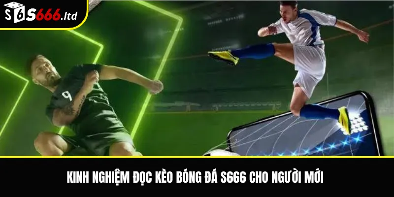 Kinh nghiệm đọc kèo bóng đá S666 cho người mới