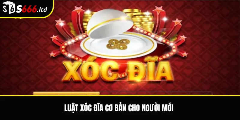 Luật xóc đĩa cơ bản cho người mới